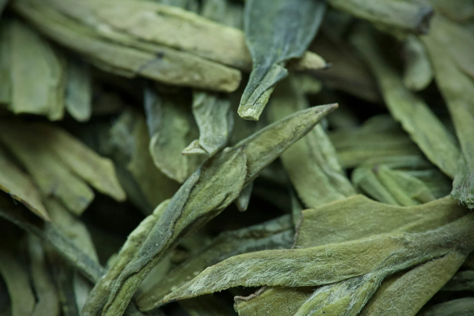 Dried green tea leaves close up