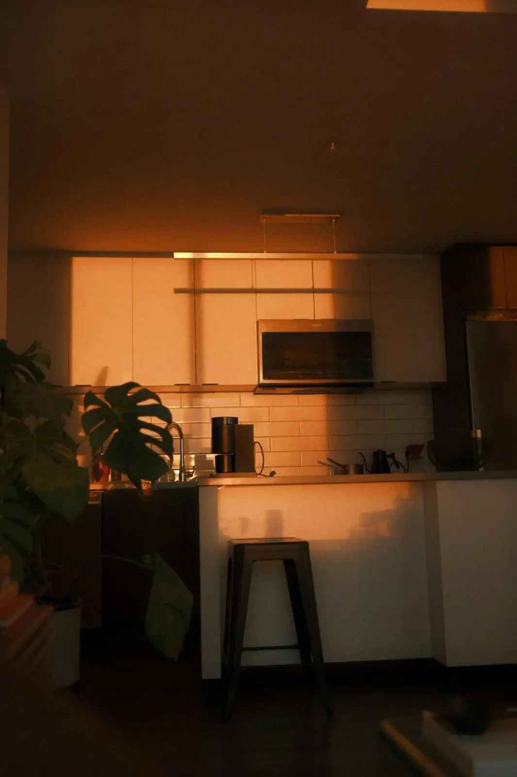 Modern kitchen lit by warm sunset light
